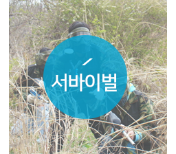 서바이벌
