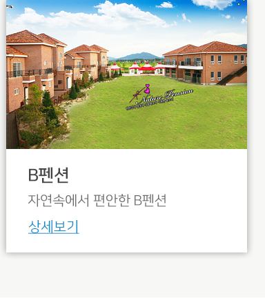 금비펜션