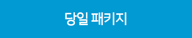 당일패키지